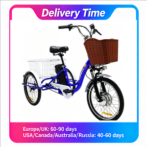 Daibot 24-Inch Electric Tricycle for Adults – 48V 350W, 7-Speed, Disc Brakes & Removable Battery – China Stock