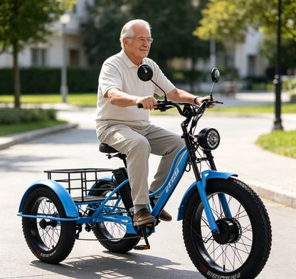 New 3-wheel Electric Tricycle Cargo Bike For Elderly Adults 2 Seat 750w Front Hub Motor Lithium Battery 7-speed Fat Tire