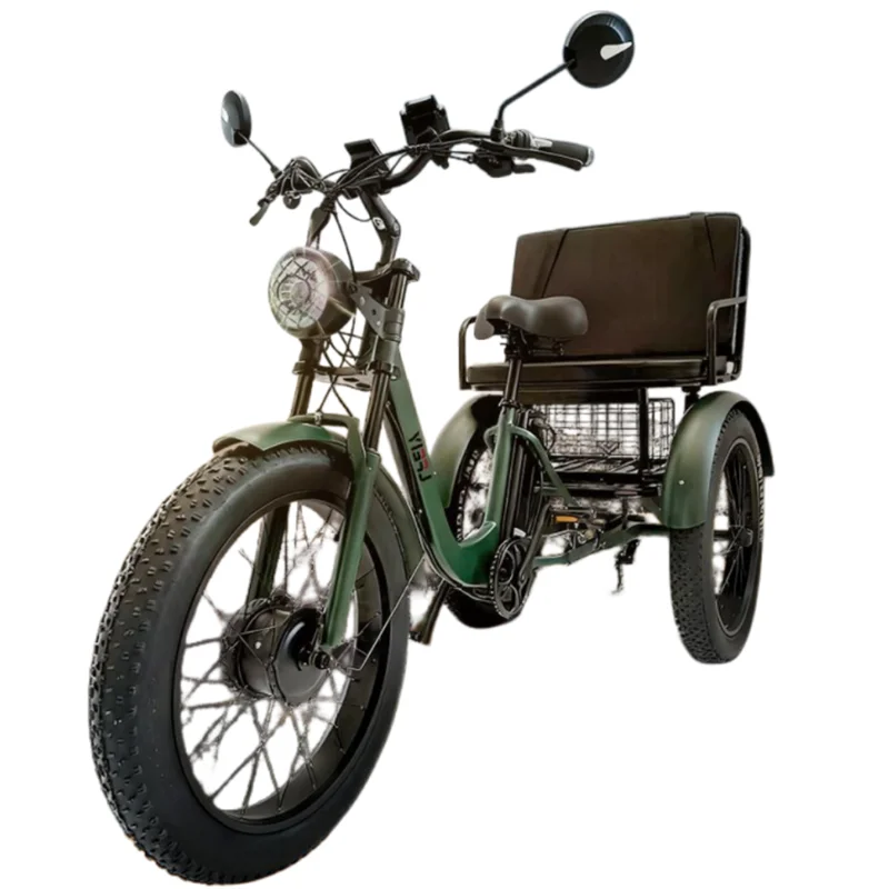 24 Inch Fat Tire Electric Tricycle Adults With Cargo/ Passenger Seat Removable Battery 750w Cool Off Road Booster Electric Bike - Buy  Product on Alibaba.com