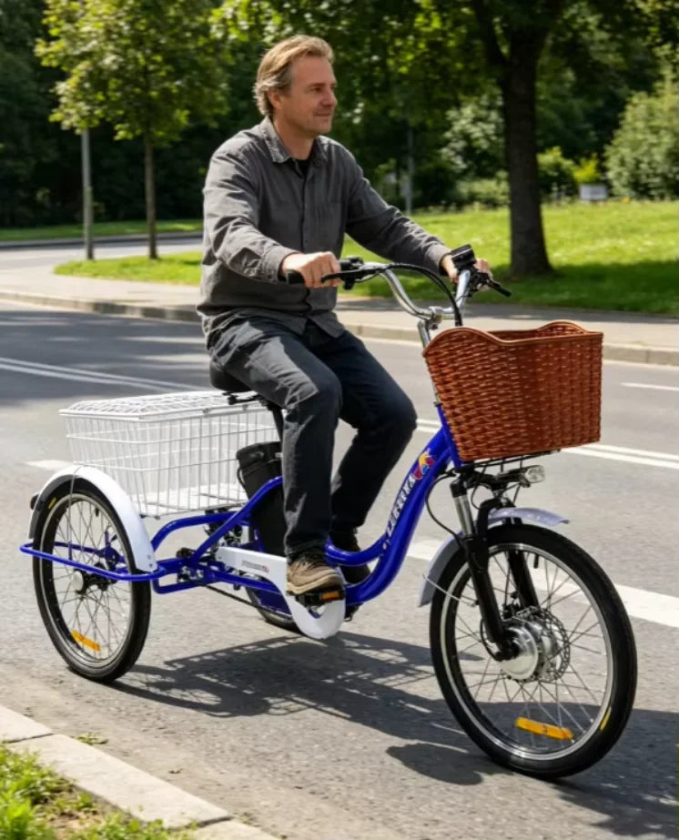 Adult 3 Wheel Electric Tricycle Lithium Battery 12a 350w 24 Inch Pull Basket 7-speed Carbon Steel Frame Disc Brakes Front Hub - Buy  Product on Alibaba.com