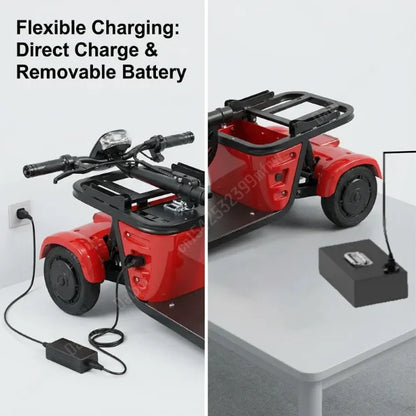 Lightweight Foldable 3-wheel Electric Tricycle Dual 250w Motors 36v Removable Lithium Battery 35-40km Range For Adults Seniors - Buy  Product on Alibaba.com