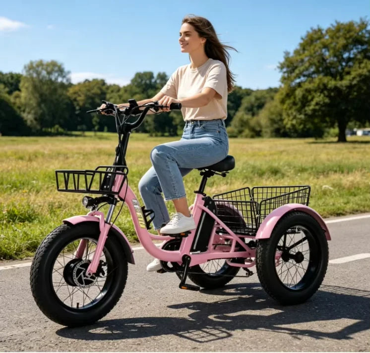 Electric Tricycle Adult 3 Wheels 500w 48v 20 Inch Fat Brushless Motor Lithium Battery Cargo Bicycle Ladies Waterproof Anti-theft - Buy  Product on Alibaba.com