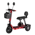 olding 1000W 48V 2-Seater Electric Tricycle | 3-Wheel Mobility Scooter for Adults